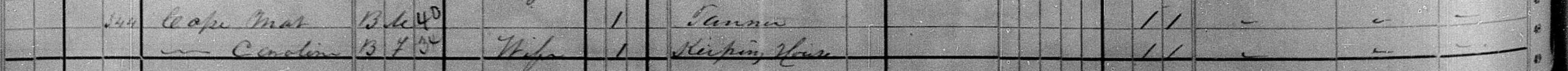 1880_Caroline Cope_crop