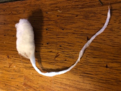 cotton